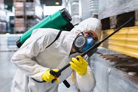 Best Fumigation Services  in Coram, NY